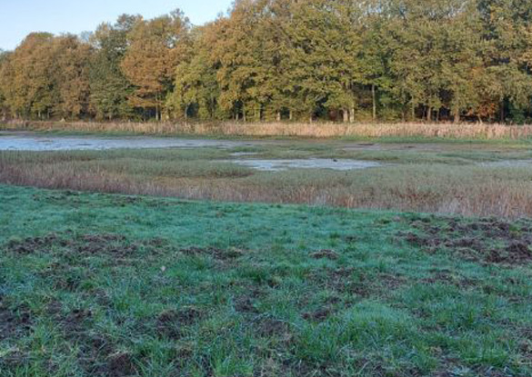 Curage d étang Châteauneuf-sur-Loire, Curage d étang Jargeau, Curage d étang Orléans